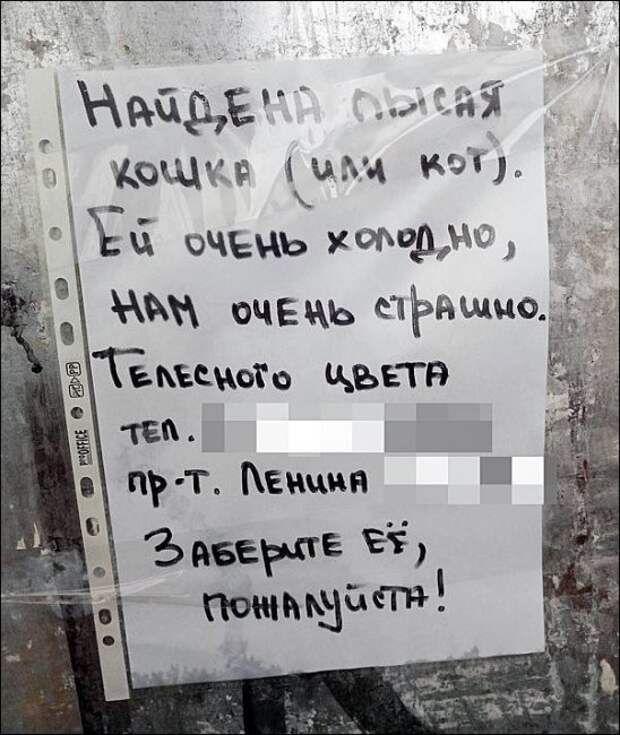 Смешные объявления, приколы в рекламе