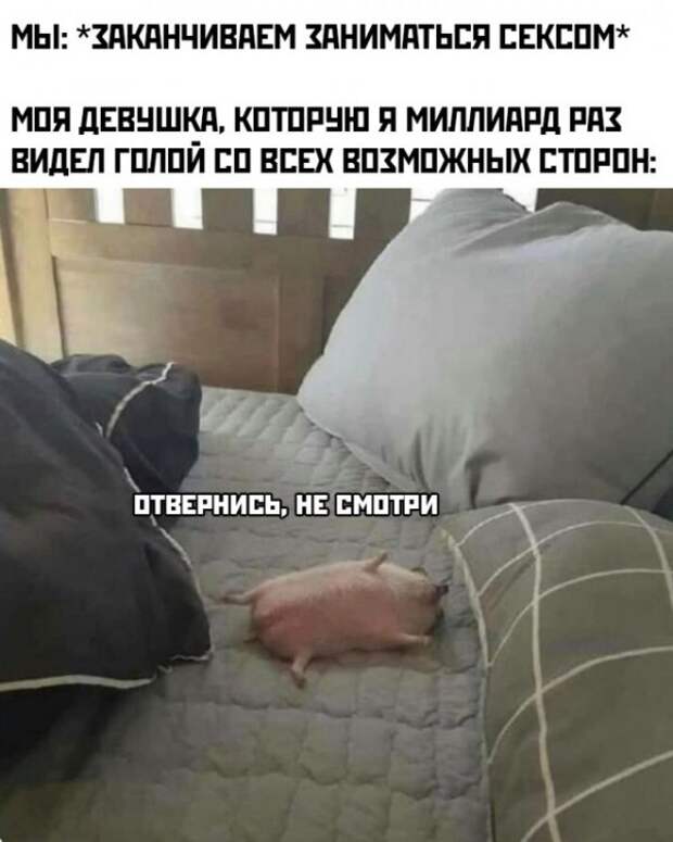 Баянисто-небаянистый юмор
