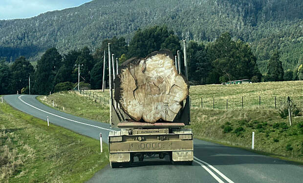 Турист ехал по холмистой дороге и случайно снял на видео фуру, которая везла бревно с самолет толщиной