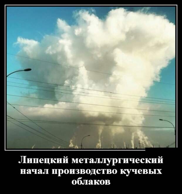 Демотиваторы (30 фото)