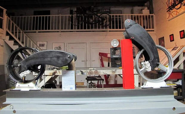 Bienville Legacy