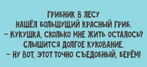 Легкий юмор для поднятия настроения