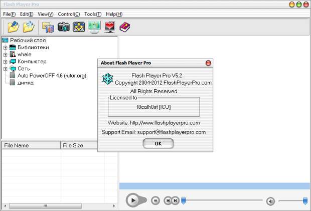 Изображение для Flash Player Pro 5.2 (2012) (кликните для просмотра полного изображения)