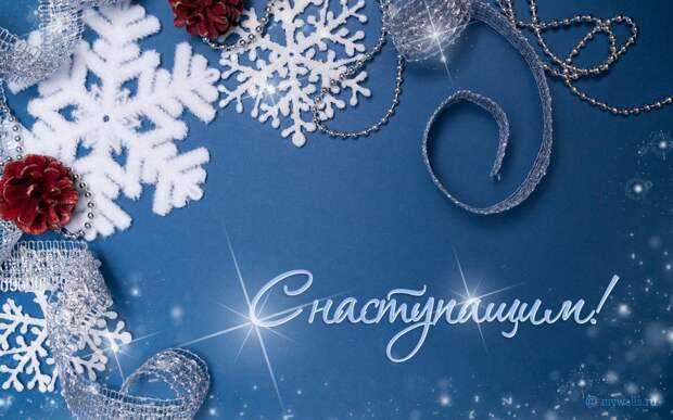 Первый в СССР. Как Харьков вернул новогоднюю елку