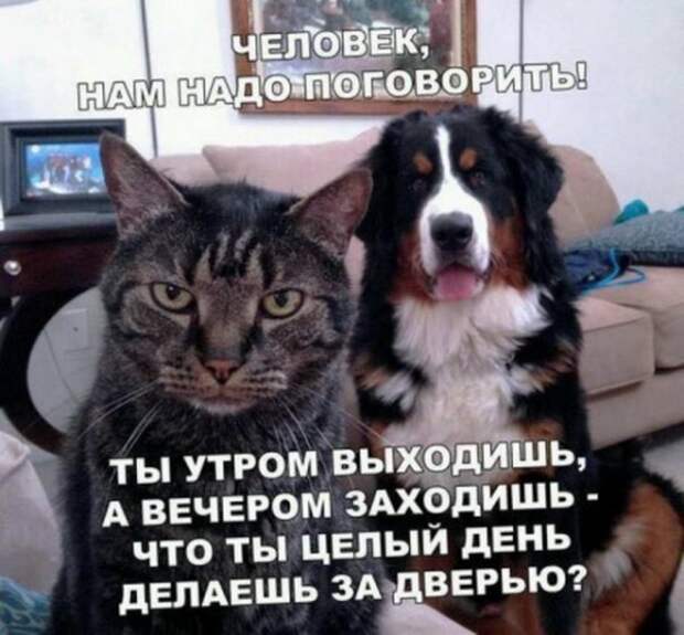 Завтра покажу... Завтра покажу...