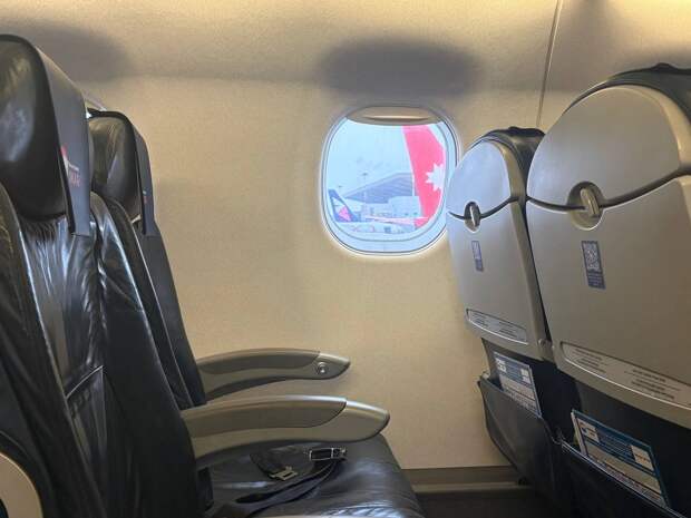 Пассажиров рейса Белград — Петербург вернули в Сербию