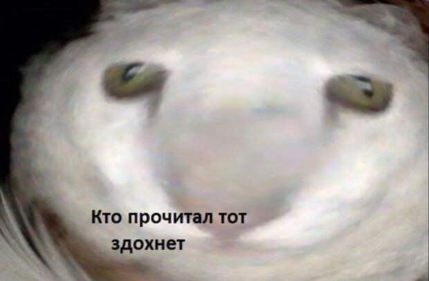 Маск попросил мемы Маск попросил мемы