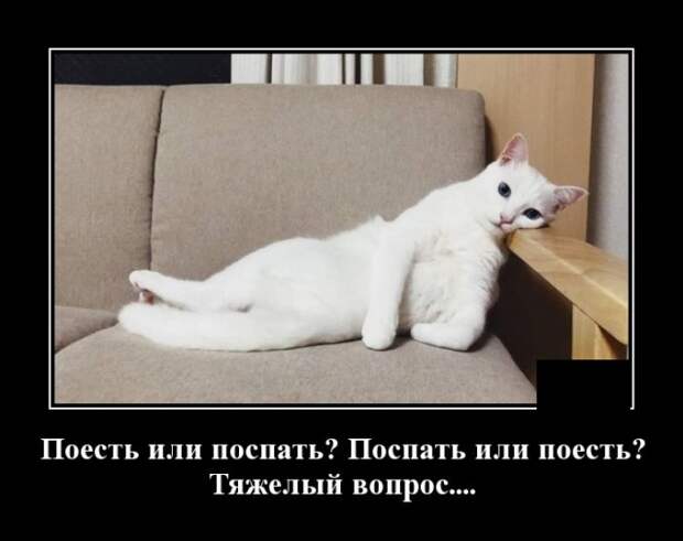 Демотиваторы (20 фото)
