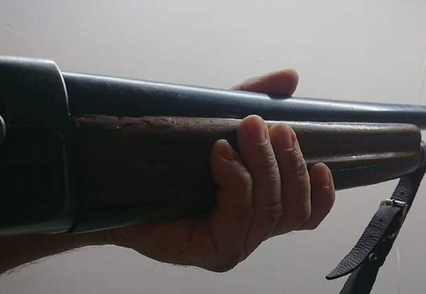 На Сомленщине установили сроки весенней охоты на дичь