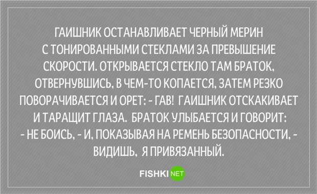 20 анекдотов о сотрудниках ГИБДД Анекдоты, гаи, гибдд