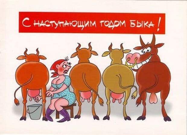 Шутки, мемы и картинки про Новый год