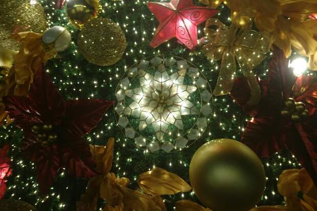 Володин поздравил россиян с Рождеством Христовым