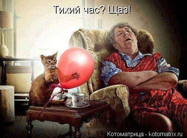 Лучшие котоматрицы недели Лучшие котоматрицы недели