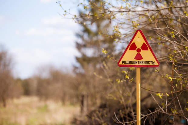 Чернобыльская зона радиационного заражения до сих пор привлекает любителей острых ощущений. | Фото: novayagazeta.ru.