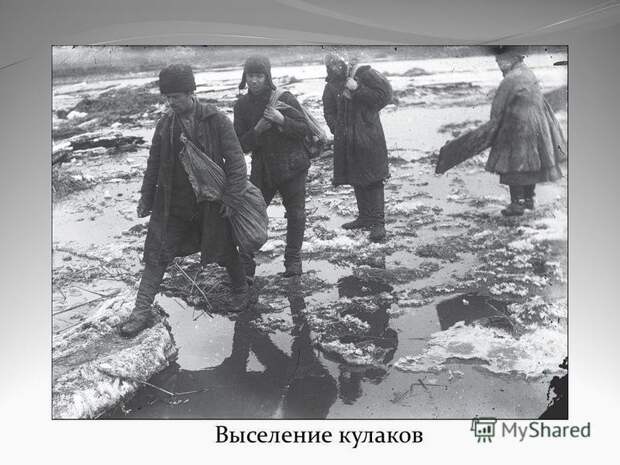 Раскулачивание крестьян в СССР: кто такие кулаки?, изображение №8