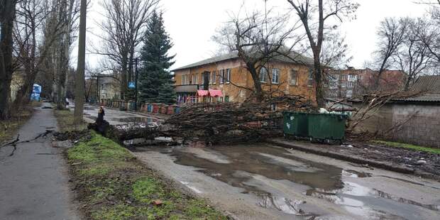 Петровский район,Архитекторов