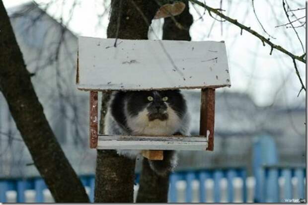 b3aaded95304d0079d13eacb03e_prev b3aaded95304d0079d13eacb03e_prev