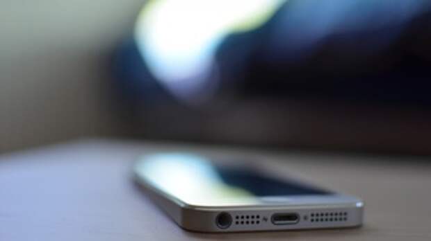 Фото: pxhere.com