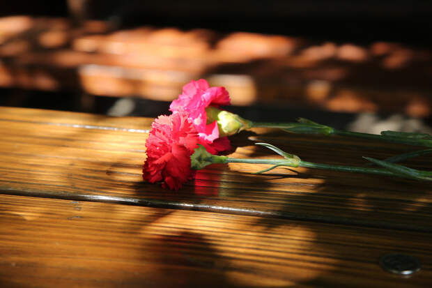 Названа причина смерти актрисы Людмилы Арининой