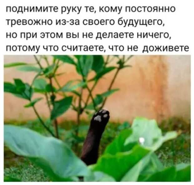 Поднимите руку )
