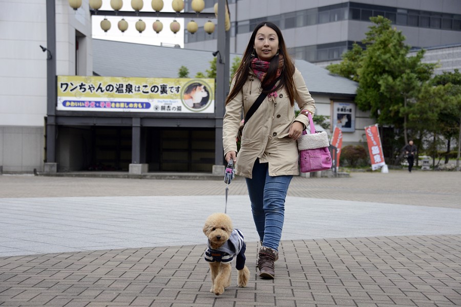 Япония: Токио Japan.Tokio09 Япония: Токио