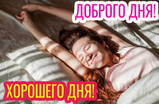 Для друзей, коллег, любимых. 80+ пожеланий доброго, хорошего дня