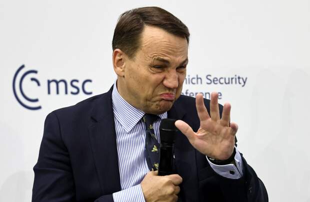 Сикорский усомнился в праве США на ведущую роль в переговорах по Украине