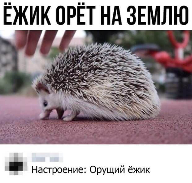 www.vsyako.net