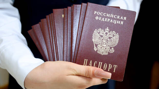 В России за незаконную выдачу гражданства можно будет сесть в тюрьму