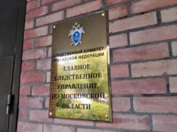 Главе ведомства доложат о ходе расследования уголовного дела по факту совершения противоправных действий мужчиной в Московской области