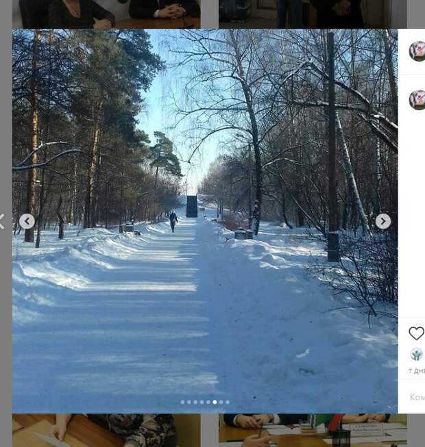 Лесополосу в Некрасовке привели в порядок