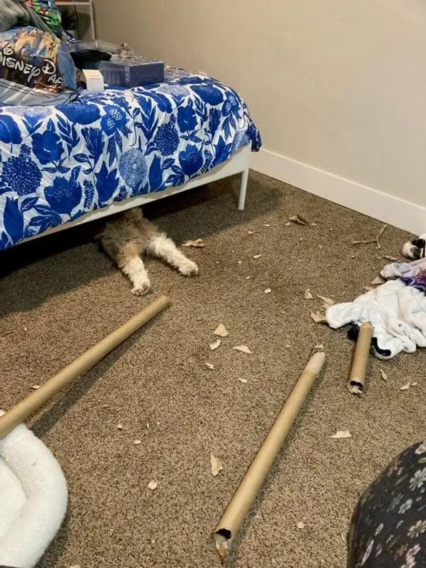 ?