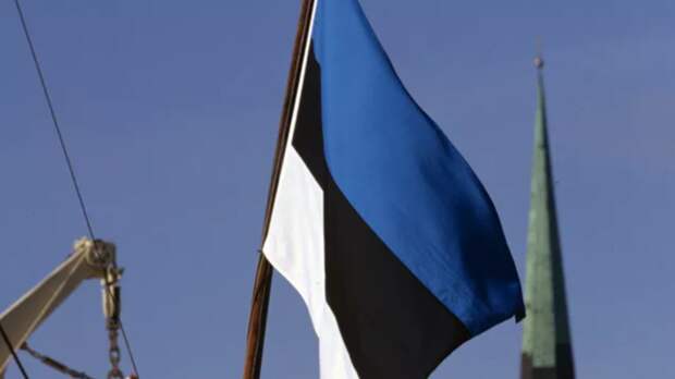 МВД: Эстония не планирует депортировать военнообязанных украинцев на родину