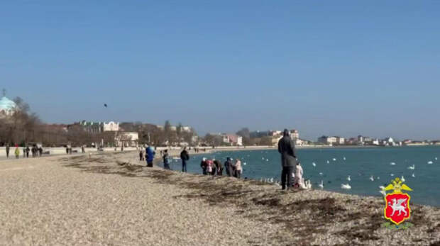 Гендиректора фирмы в Евпатории уличили в афере на 172 миллиона рублей при реконструкции набережной и сквера