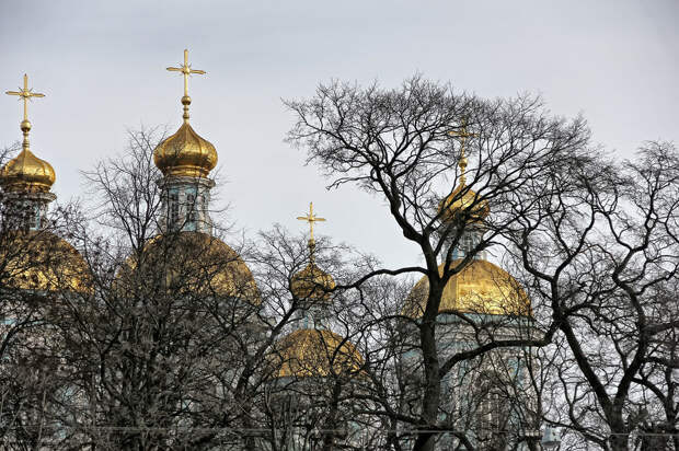 IMG_4516_2 (ресайз).jpg