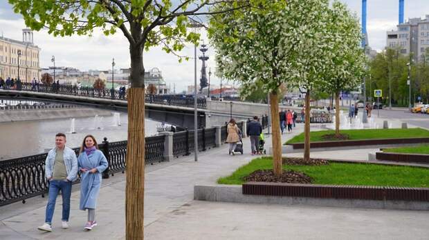Воробьевскую набережную в столице преобразят при благоустройстве в 2023 г
