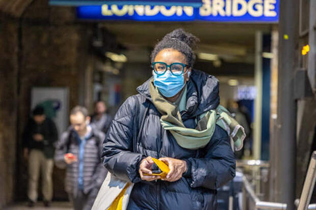 Эксперт объяснила, как вирус Нипах может попасть в Россию и насколько это вероятно