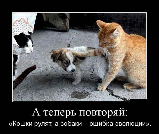 Демотиваторы бревно, демотиваторы, юмор