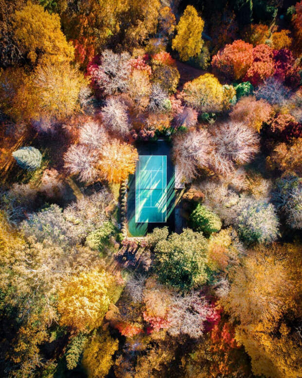 Осень. Автор: Demas Rusli.