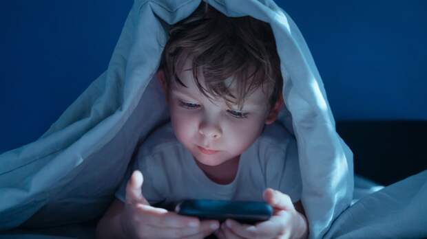 Эксперт Аблец: дети смогут найти способ обойти ограничения в интернете