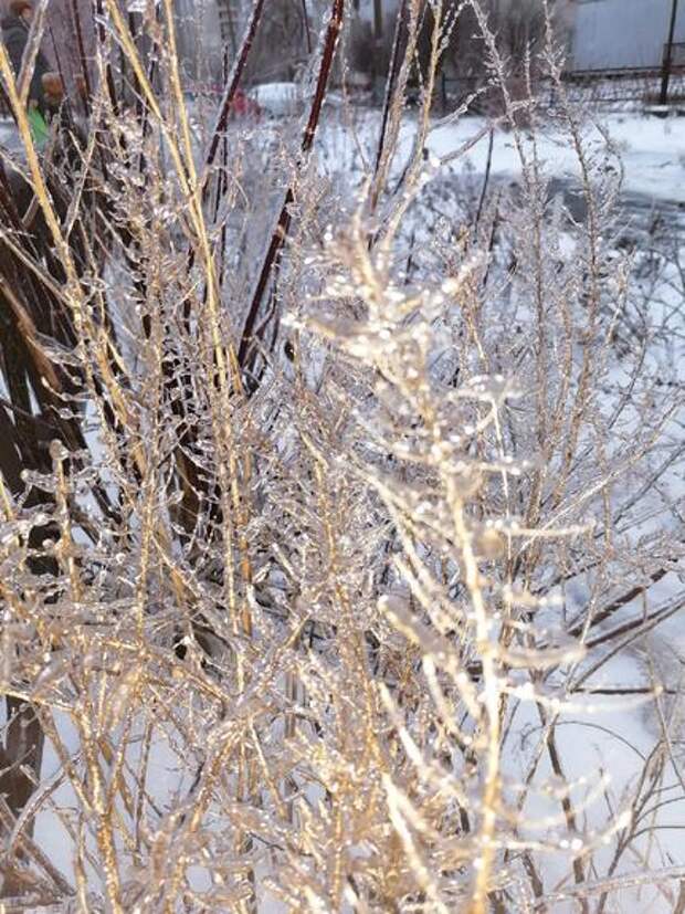 В Нижегородской области ледяной дождь привел к нарушениям энергоснабжения