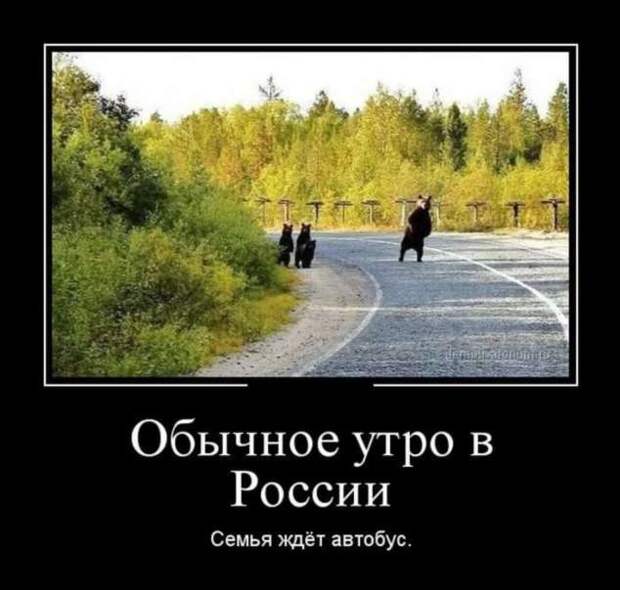 Прикольные демотиваторы с надписями. Подборка chert-poberi-dem-chert-poberi-dem-39290614122020-5 картинка chert-poberi-dem-39290614122020-5