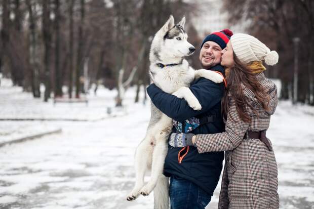 Кинолог дал советы по активным зимним прогулкам с собаками для поддержания формы