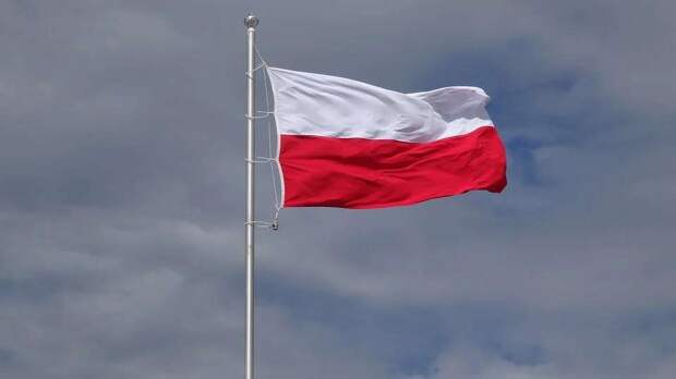 Политолог Миронов: Польша не смогла превратить антироссийскую повестку в индульгенцию от штрафов