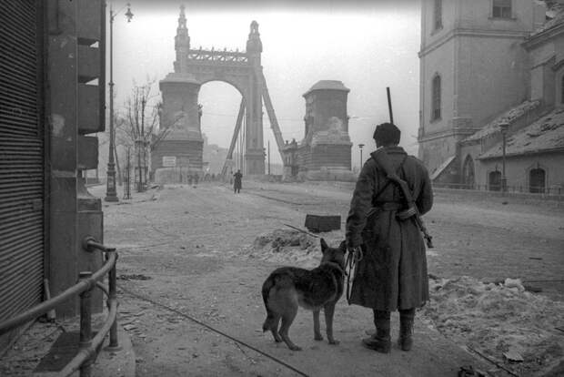 Освобожденная Европа глазами советских фотографов