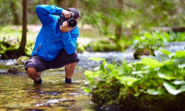 И мухи не обидит: удивительное фото крокодила покорило жюри экологического конкурса