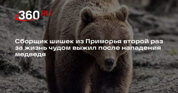 В Приморье спасли мужчину, пережившего второе за жизнь нападение медведя