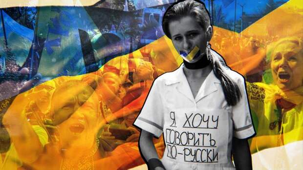 Норкин «уложил» студию «Места встречи» остроумным анекдотом про Вовочку 
