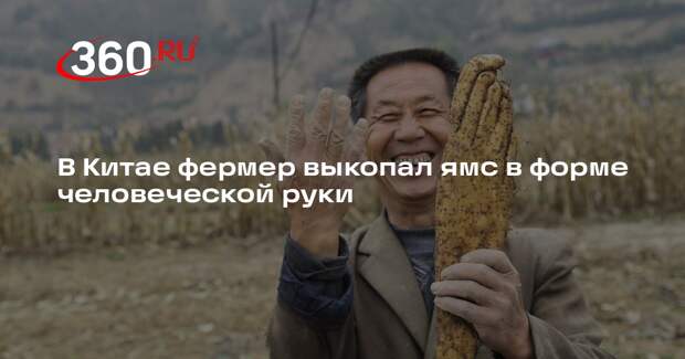 The Sun: китайца напугал корнеплод, похожий на огромную кисть