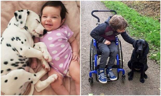 35 трогательных доказательств того, что собака — лучший друг для ребенка